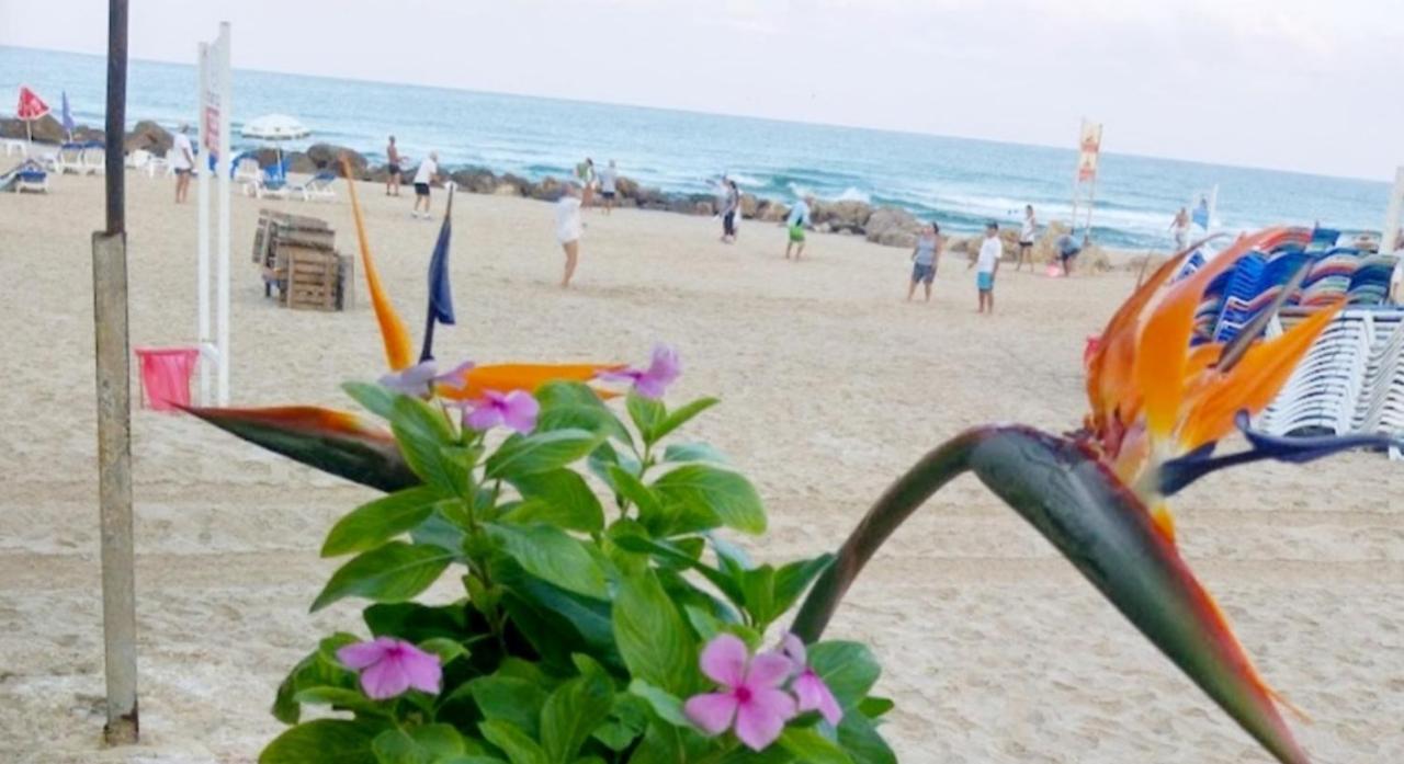 612 Apartment On The Beach Bat Yam Exterior photo